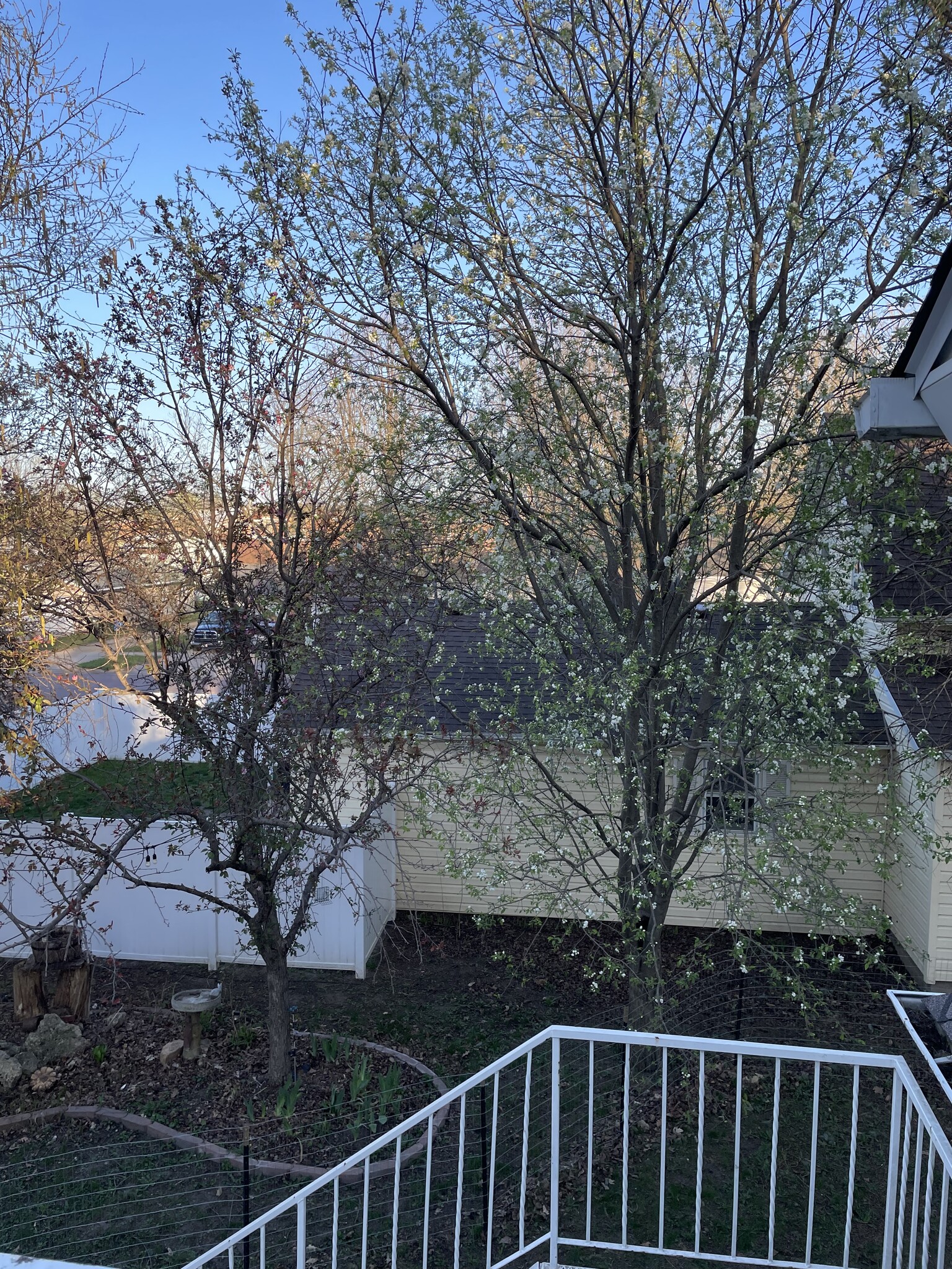 Building Photo - 407 Grace St