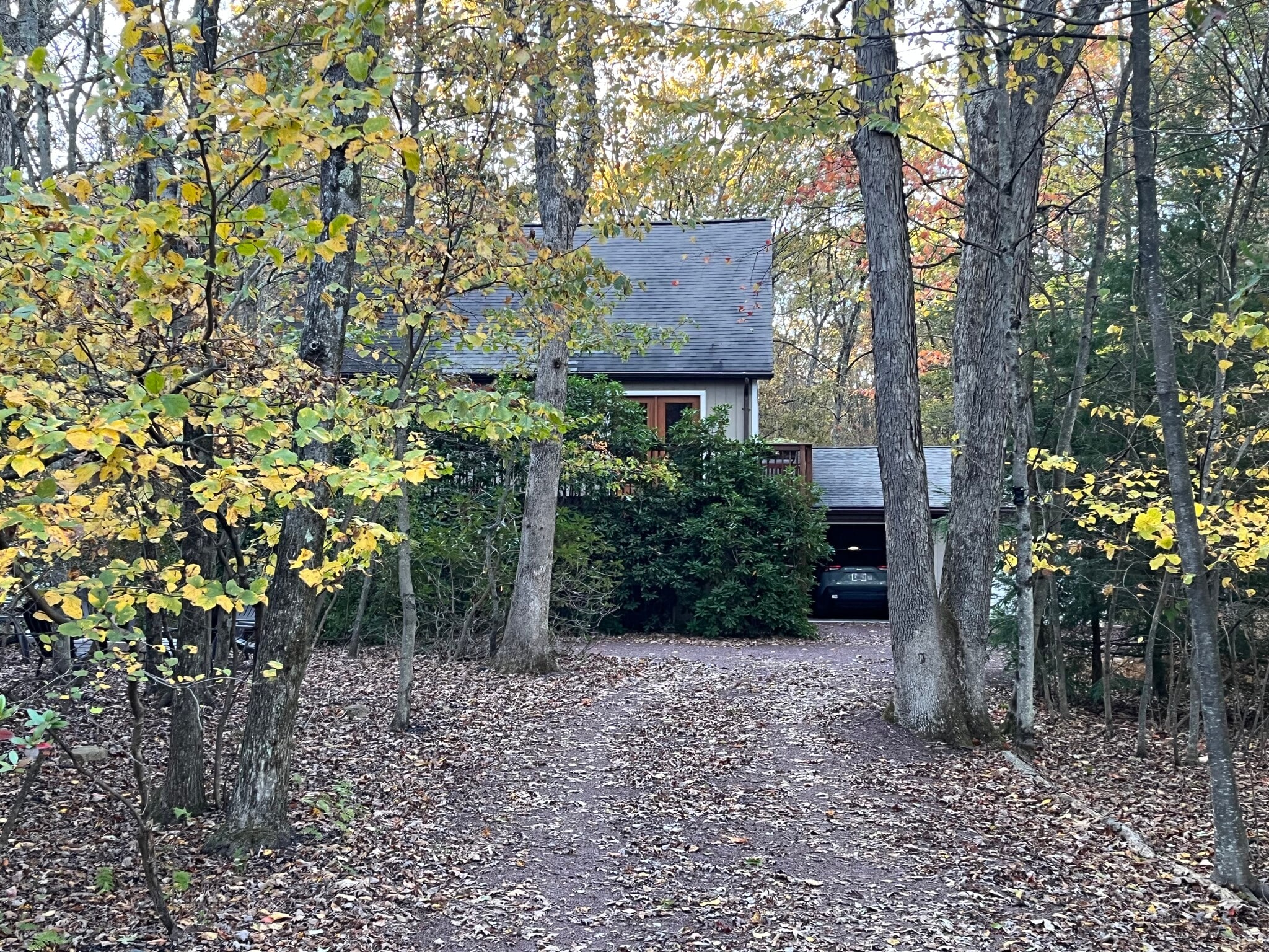 Building Photo - 161 Piney Woods Dr