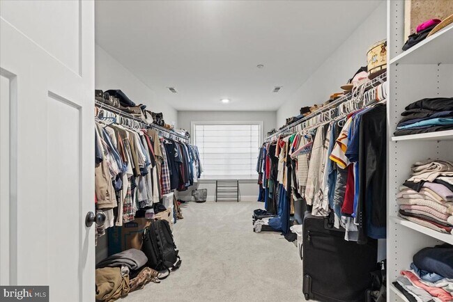 Building Photo - 2061 St Pauls Ct