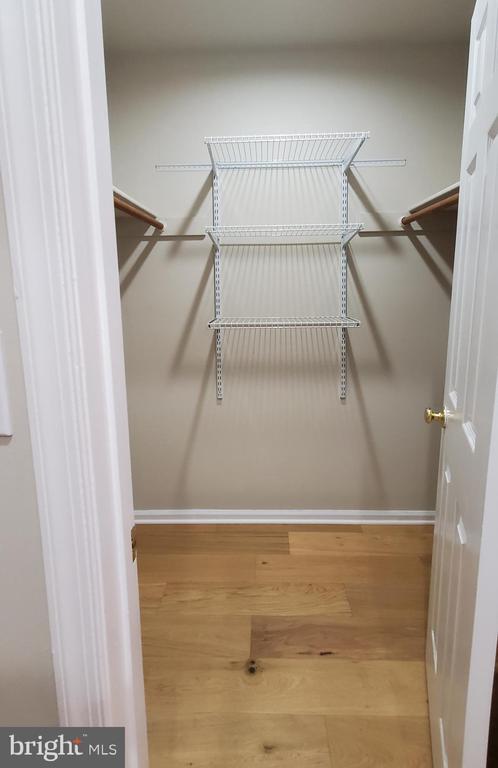 Building Photo - 101 Treymore Ct