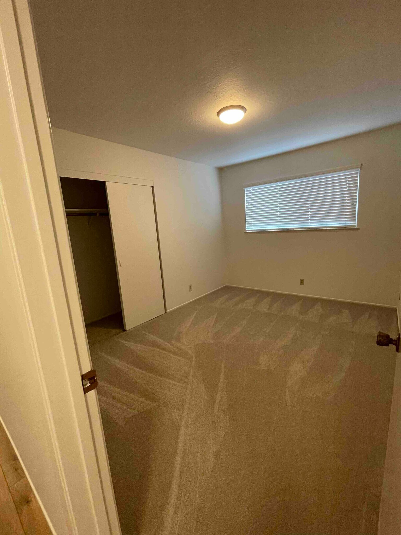 Second bedroom. New carpet. - 3724 Edgefield Drive