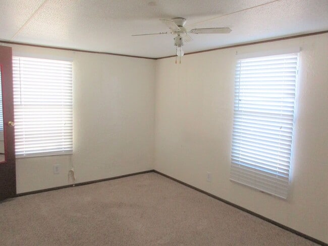 Building Photo - Super Cute & Clean!