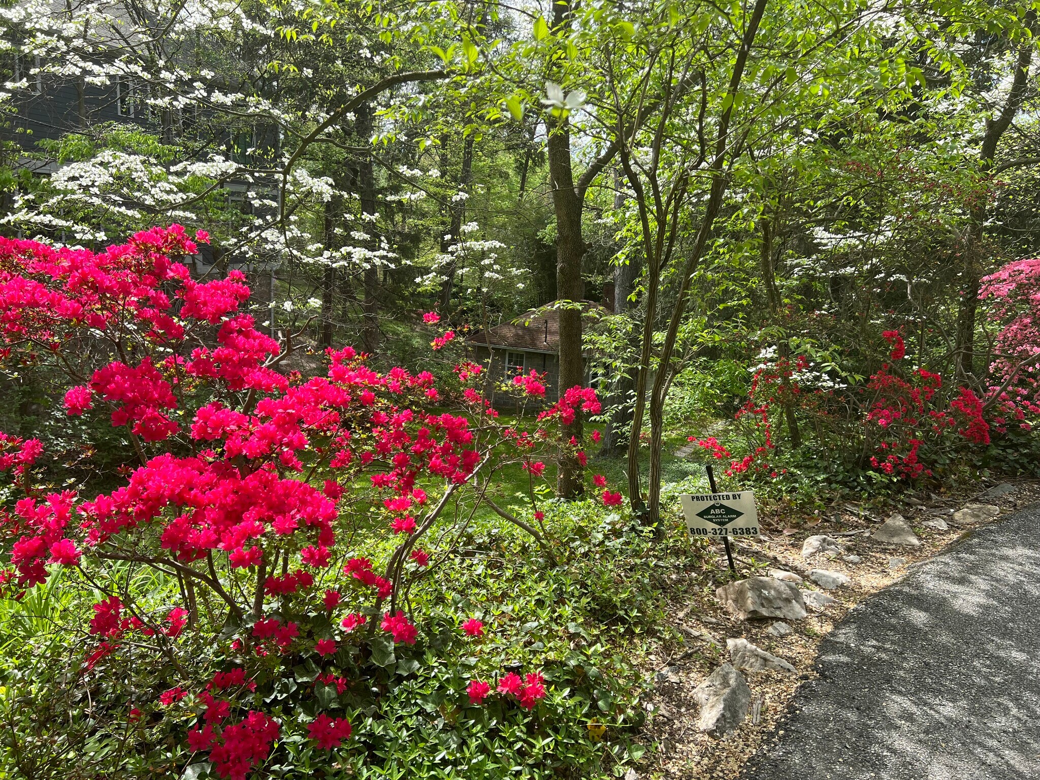 entrance - 2948 Albemarle St NW