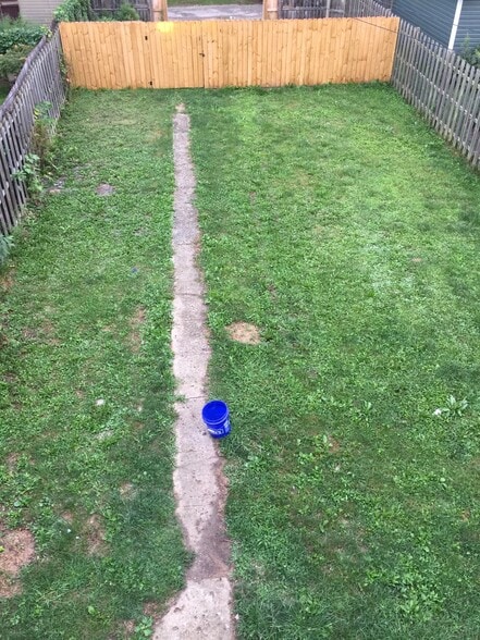 backyard - 804 Carpenter St