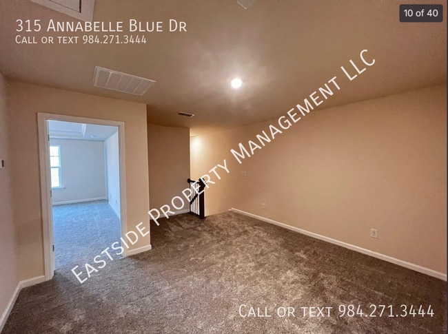 Building Photo - 315 Annabelle Blue Dr