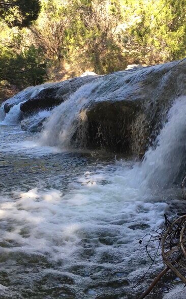 Building Photo - 9810 Lake Ridge Dr