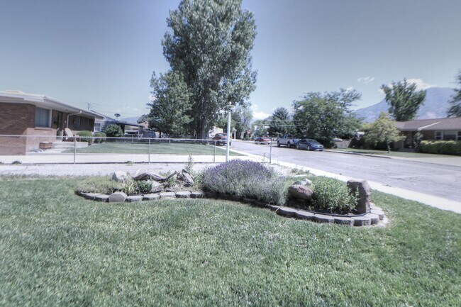 Building Photo - Pet Friendly American Fork Home