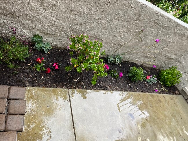 Patio outside guest bedroom - 28214 Rey De Copas Ln