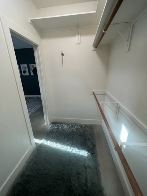 Building Photo - 3003 Birdwood Cir