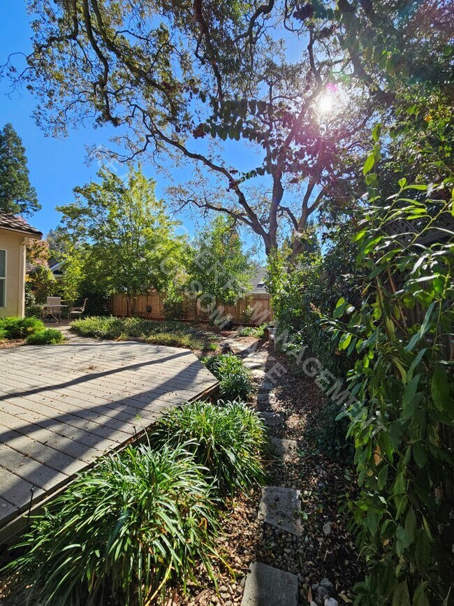 Building Photo - 4-Bedroom Single-Story Home in Briggs Ranch
