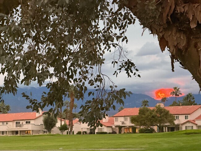 Building Photo - 269 Vista Royale Cir W