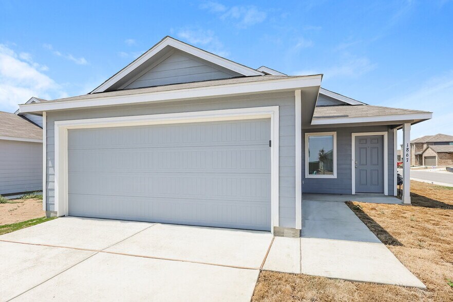 Primary Photo - 1867 Musk Rose