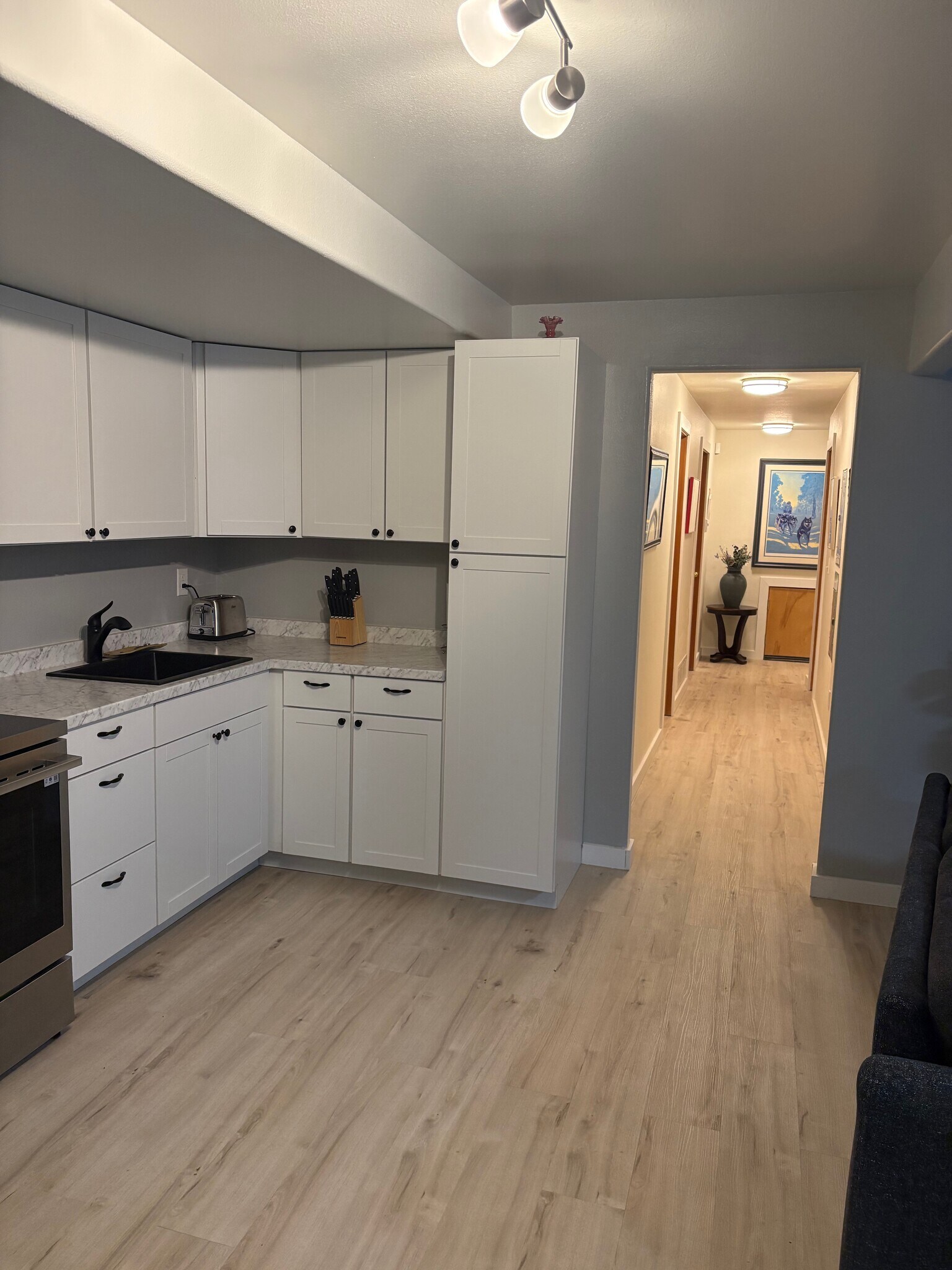 Kitchen Looking down hallway - 7231 E Chester Heights Cir
