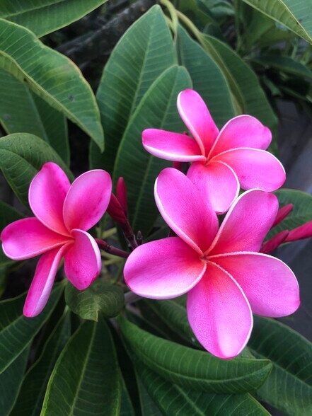 Welcome Home! - 840 W 168th St