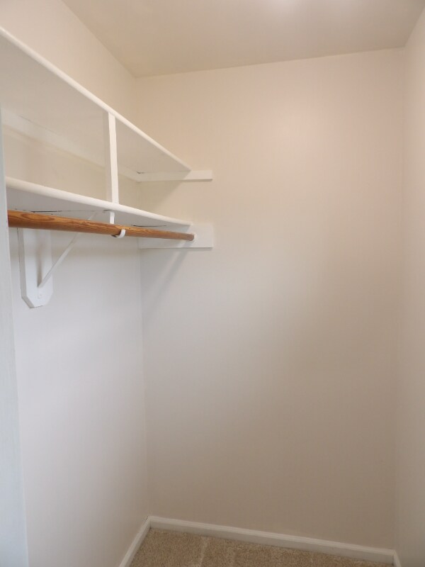 Building Photo - 413 Forest Ct