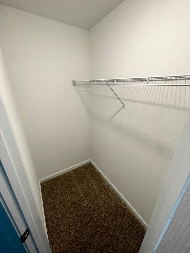 Building Photo - 95 Playa De Luna Ln