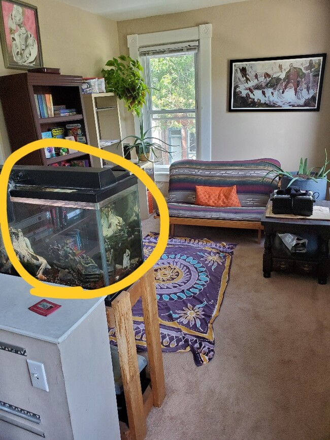 If you're willing to take on this fish tank (which has been up and running just fine for 5 years now), you get dibs. - 241 Benton St