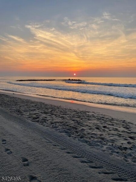 Building Photo - 217 Newark Ave