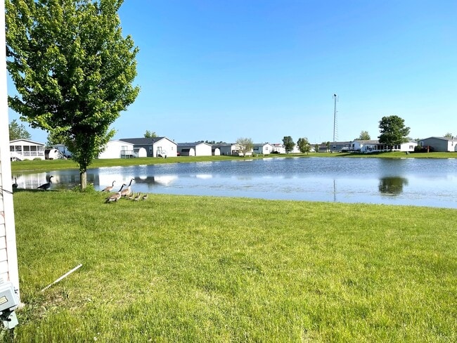 Building Photo - 248 Canary Dr