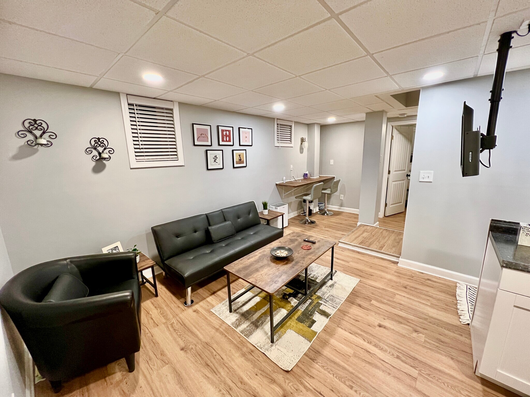 Lower Level Living Room - 4531 Embry Rd