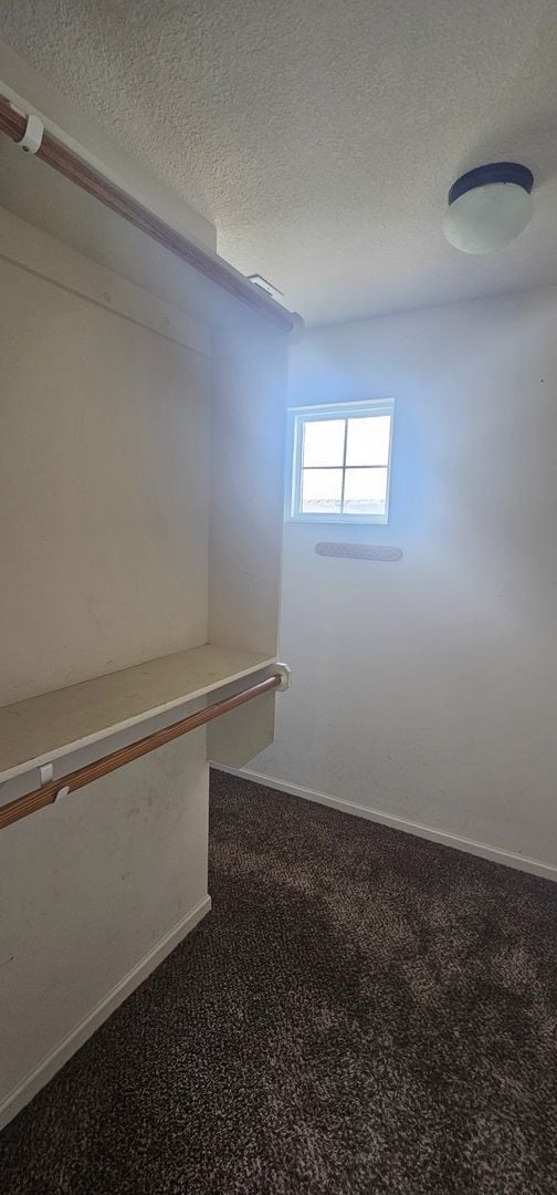 Building Photo - Large Corner Lot with Expansive Backyard & 3-Car Tandem Garage!
