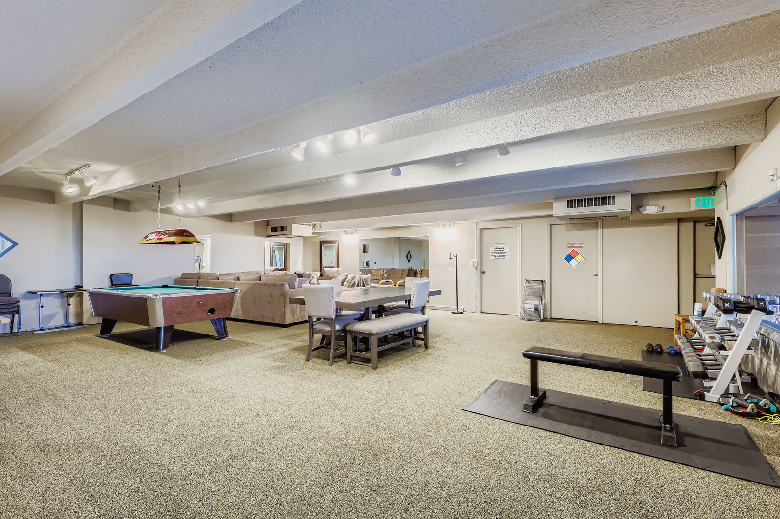 Recreation Room - 1265 Race St