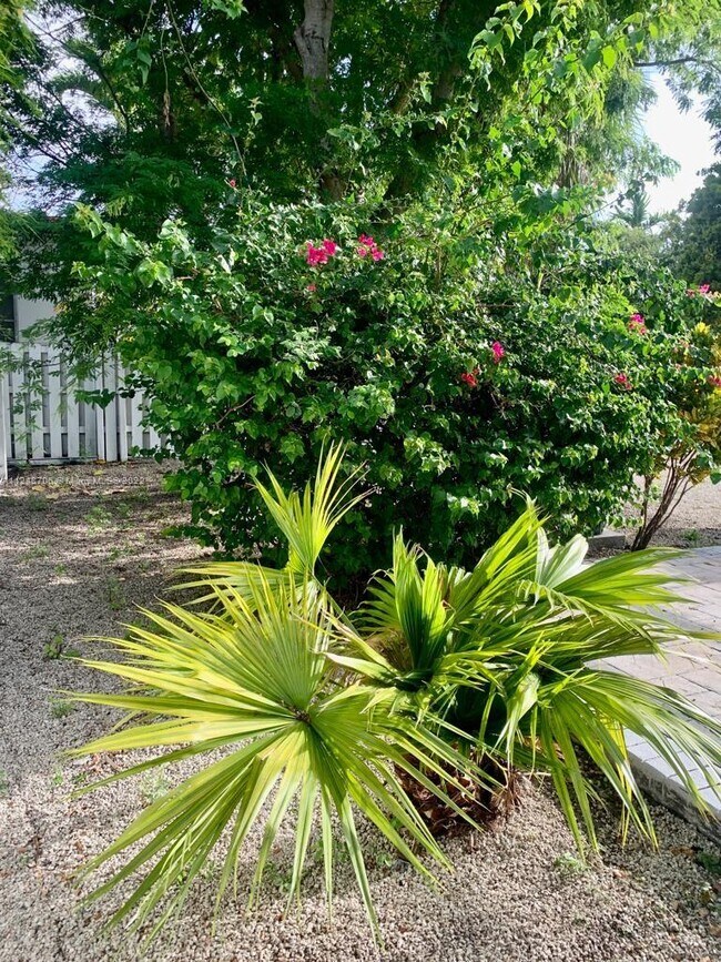 Building Photo - 1001 Surfside Blvd