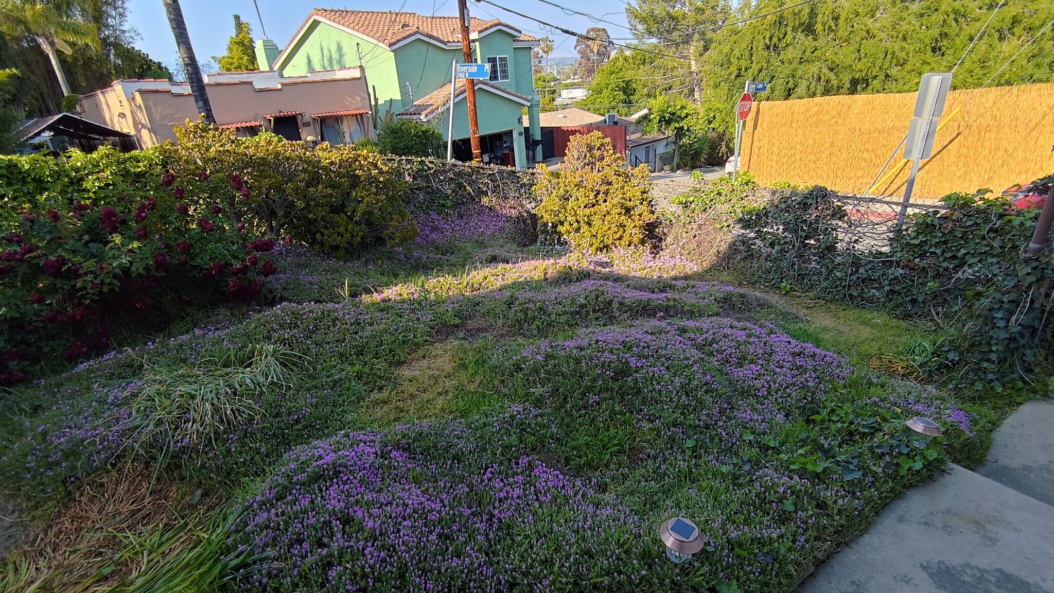 Backyard continued - 2471 Riverside Pl