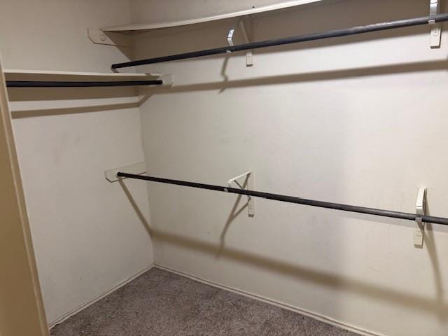 Building Photo - 21126 Kirkland Woods Dr