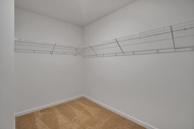 Building Photo - 1025 Curly Top Ln