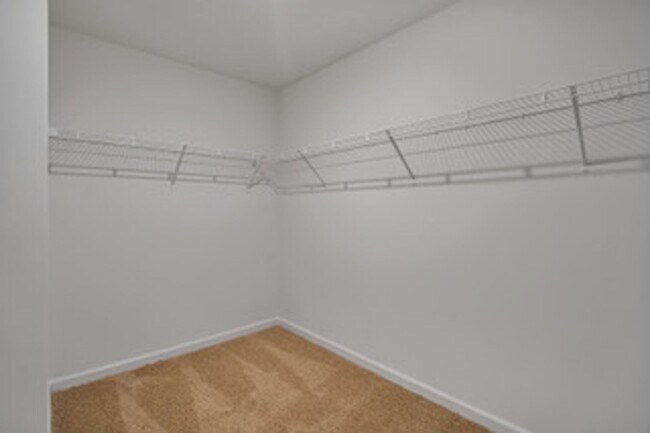 Building Photo - Knoxville 37932 - AVAILABLE July 1, 2026 - BEAUTIFUL, 3 bedroom, 2.5 bath home - Call Kathy Levei...