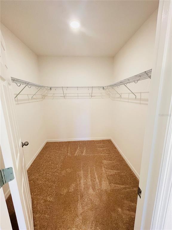 Building Photo - 927 Scrub Oak Hammock Rd