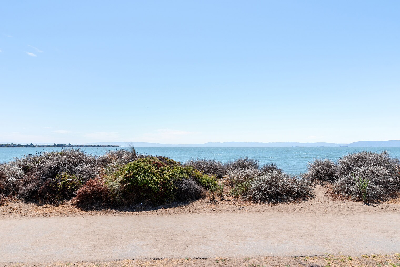 Building Photo - 2019 Shore Line Dr