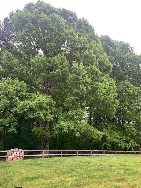 Building Photo - 1157 Woodwinds Dr
