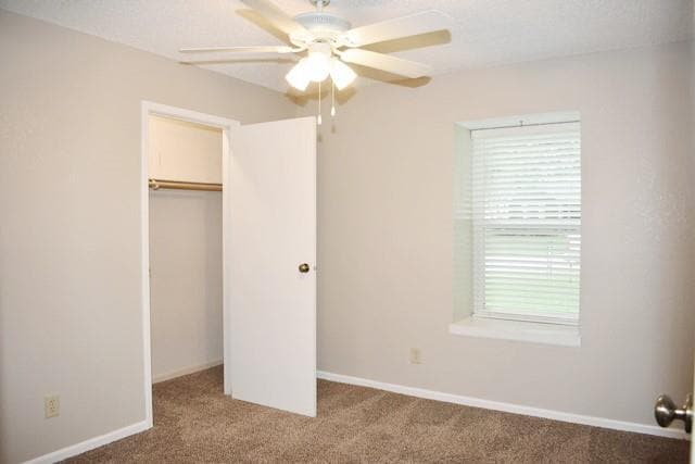 Building Photo - 1829 Teton Dr