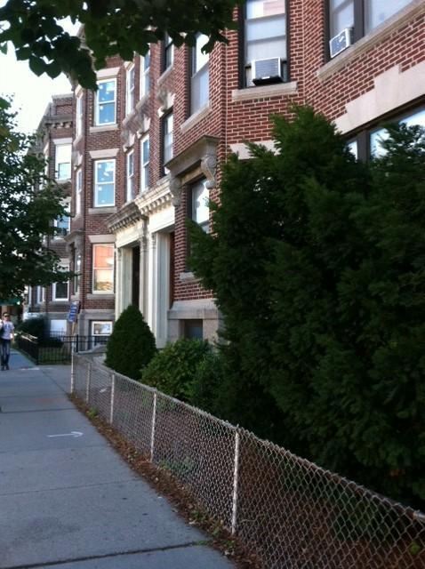 Primary Photo - 181 Harvard St