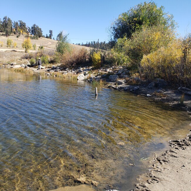 Building Photo - 609 Buffalo Ridge Rd