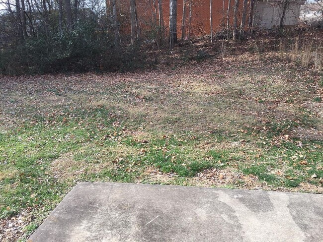 Building Photo - 512 Luxury Dr