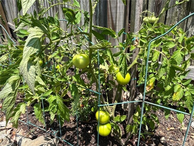 Building Photo - 558 Connecticut Ave