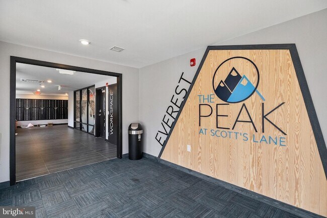 Building Photo - 3449 Scotts Ln