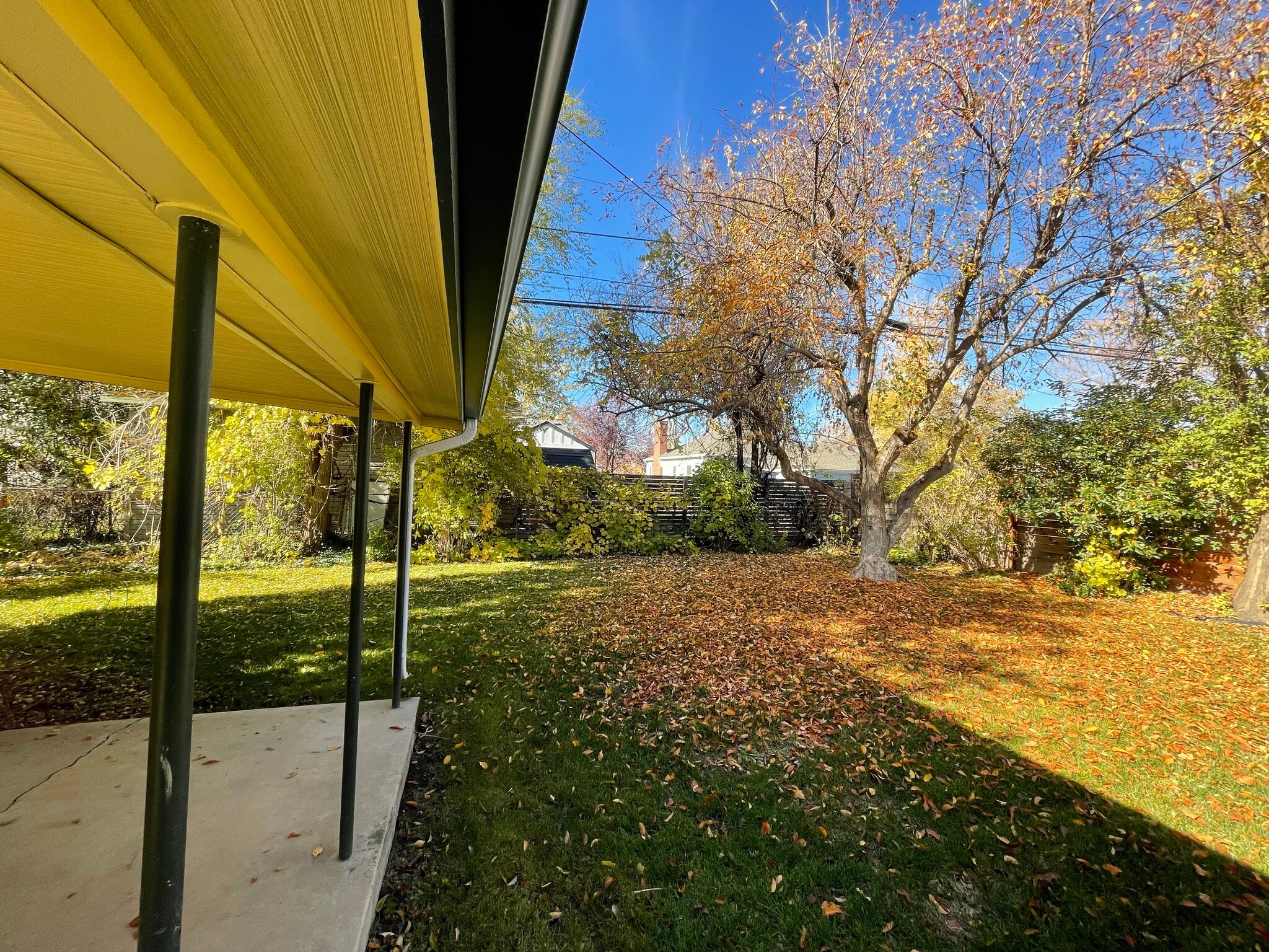 Patio - 1906 S Imperial St