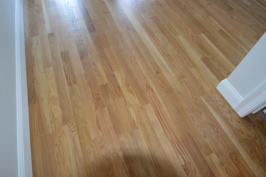 Building Photo - 66 Allston St