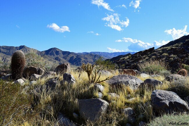 Building Photo - Canyon Granada,Unfurnished,Long Term