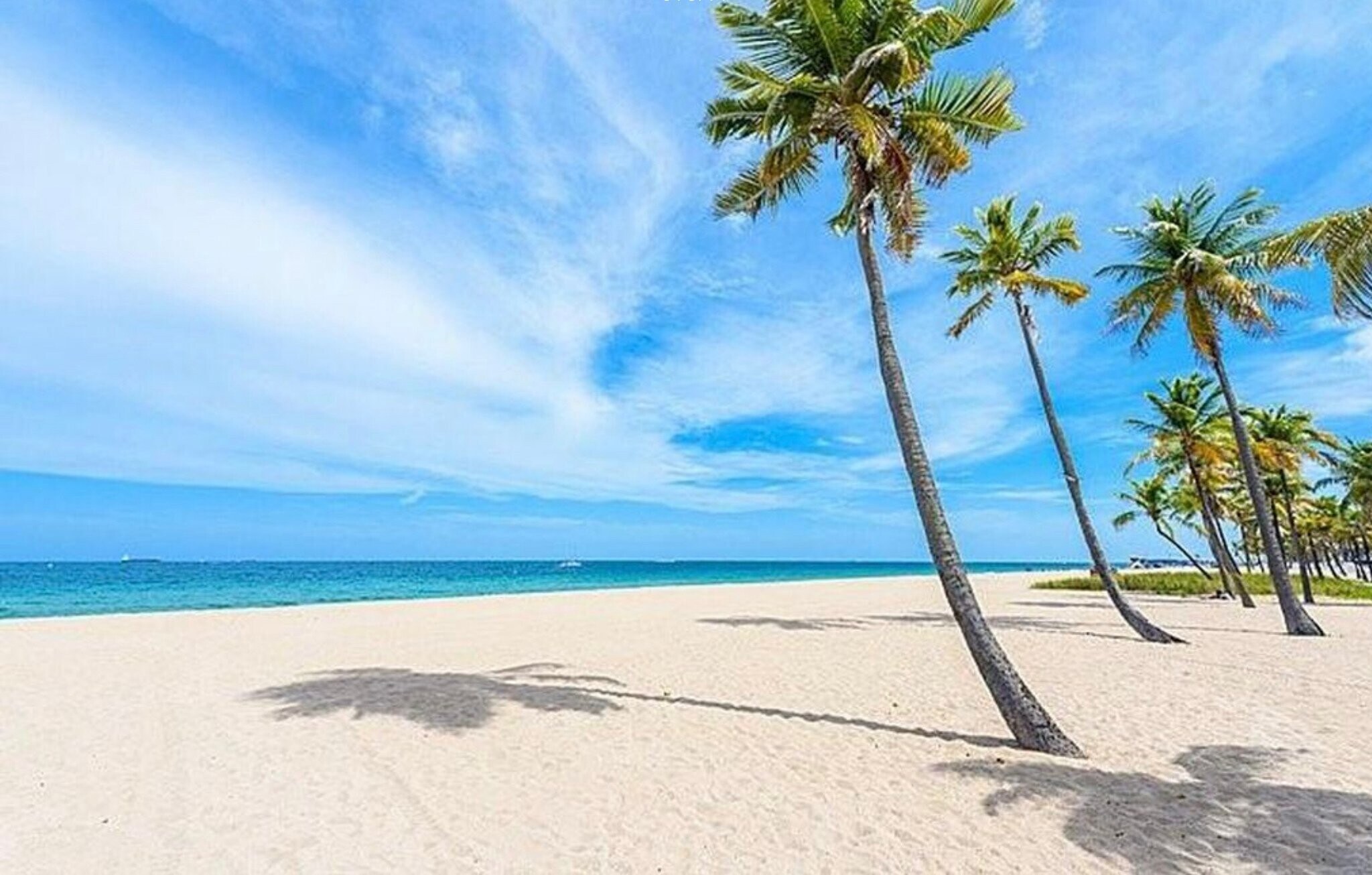 Building Photo - 3020 NE 32nd Ave