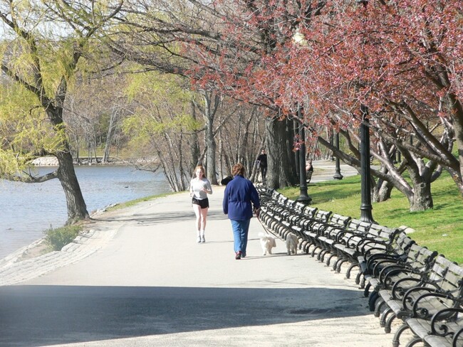 Jamaica Pond - 22 Chestnut Pl