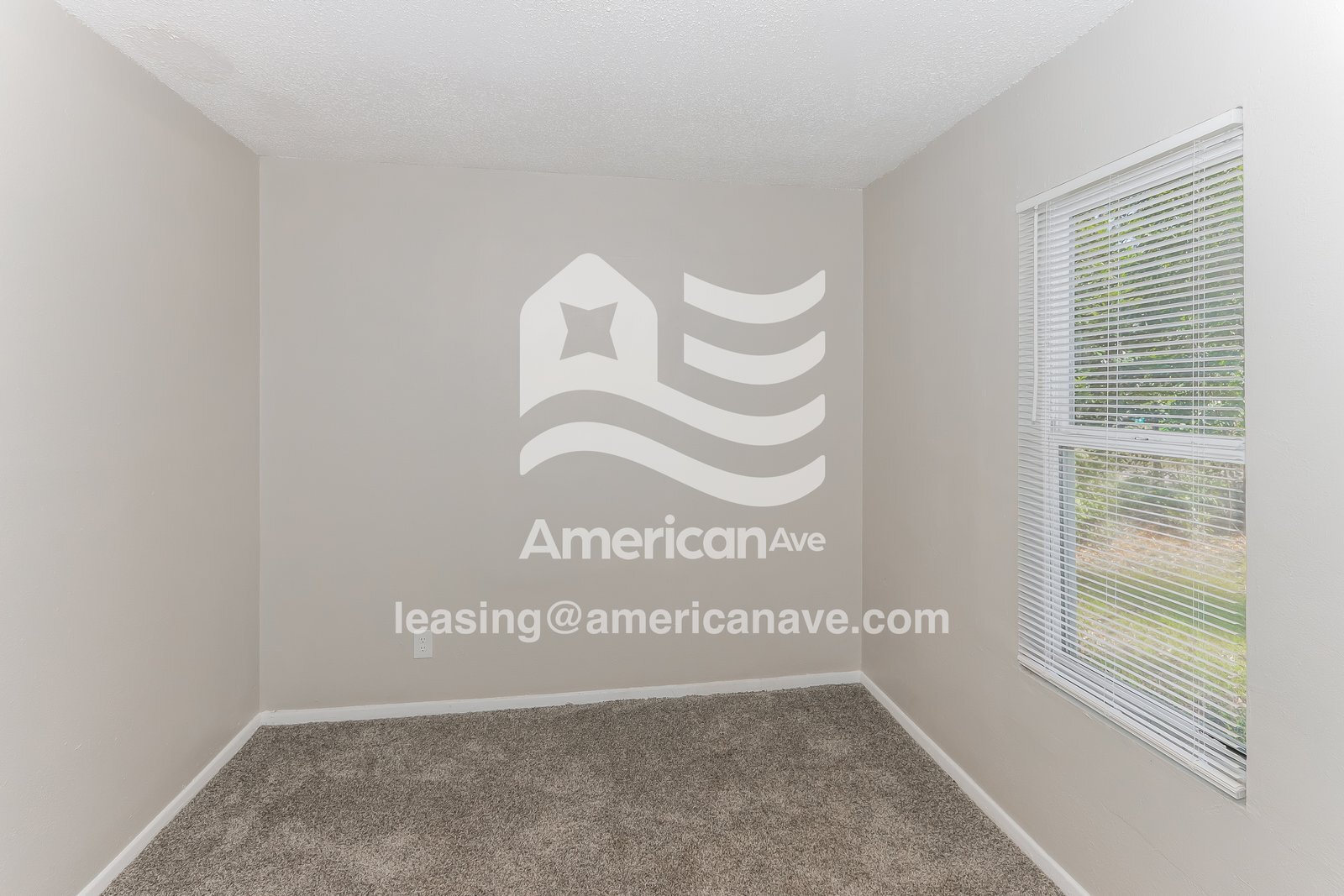 Building Photo - 245 Ward St