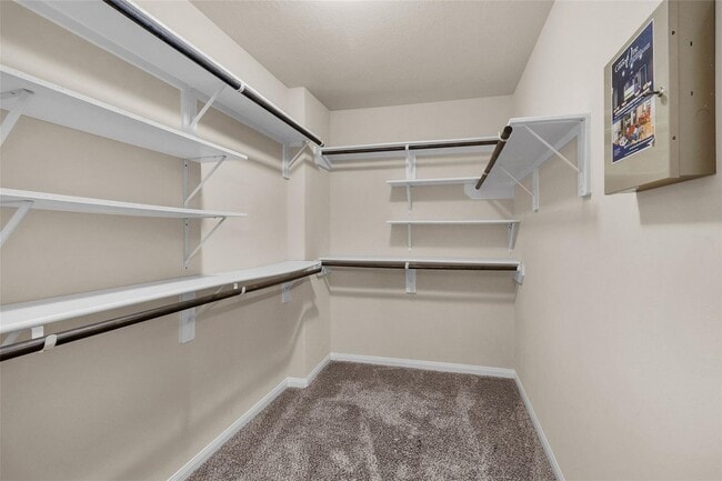 Building Photo - 15003 Winter Valley Ct