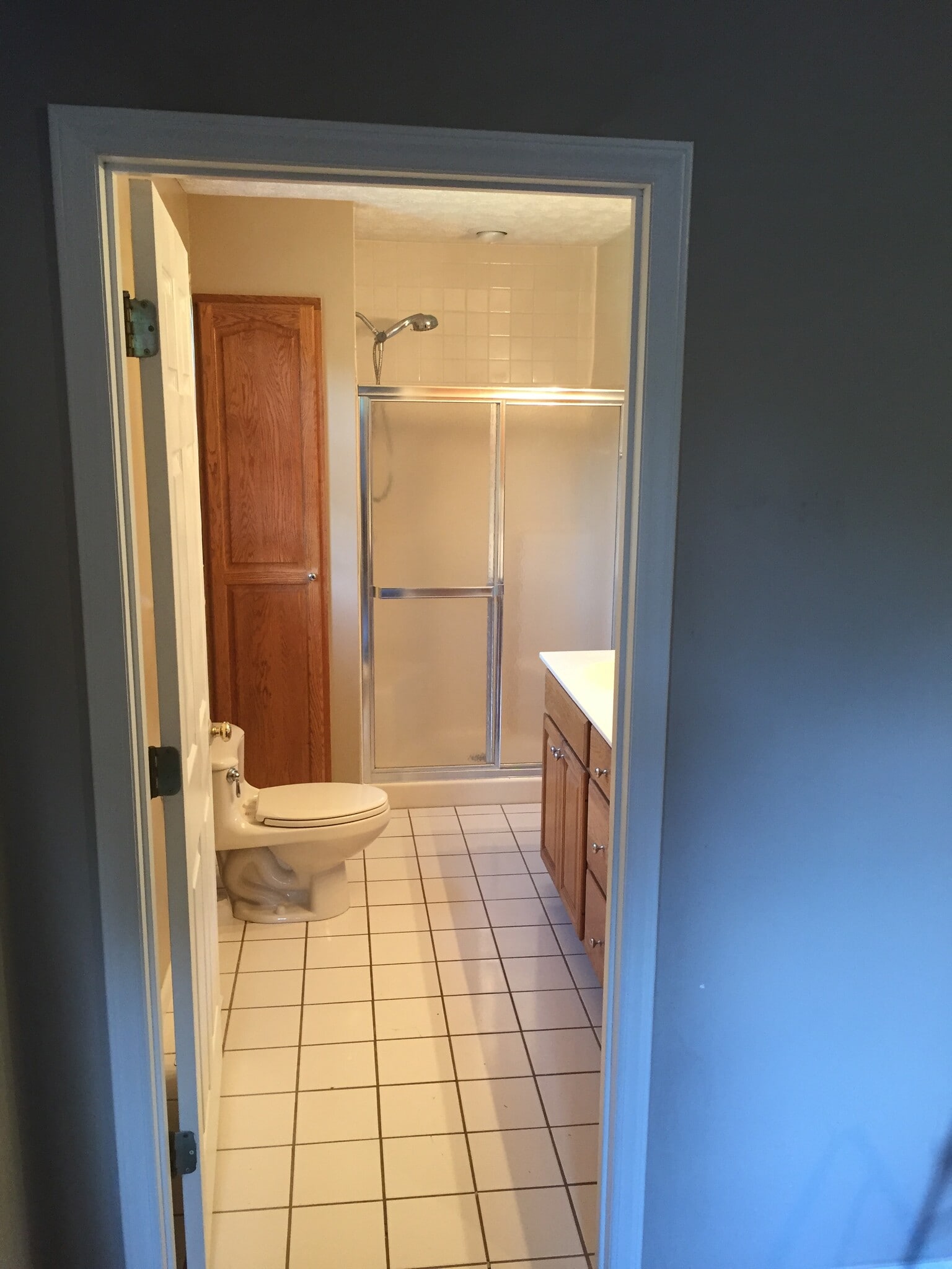 Master Bath - 251 Rembrandt Dr