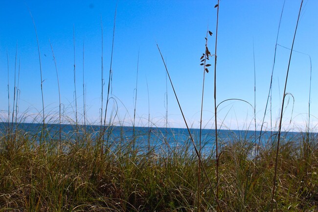 Building Photo - Amazing Ocean Views - Seasonal or Annual