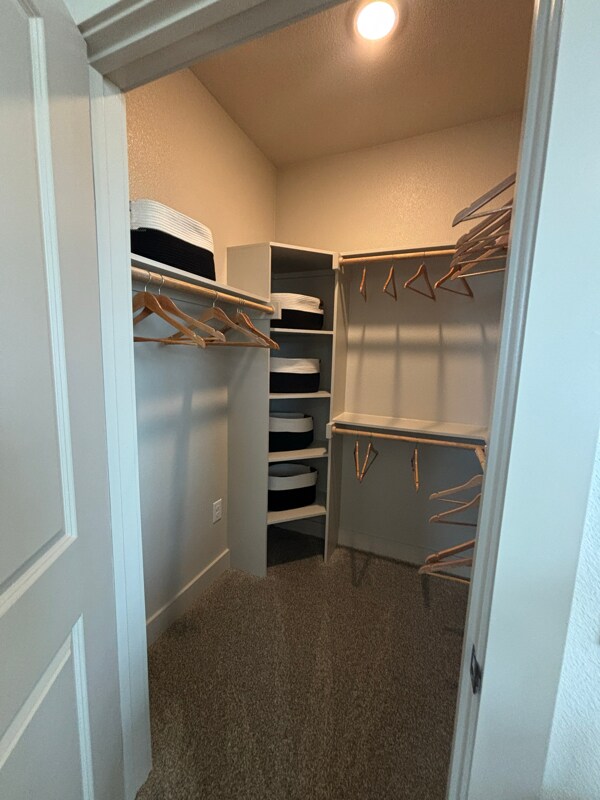 Building Photo - 702 Celebration Wy